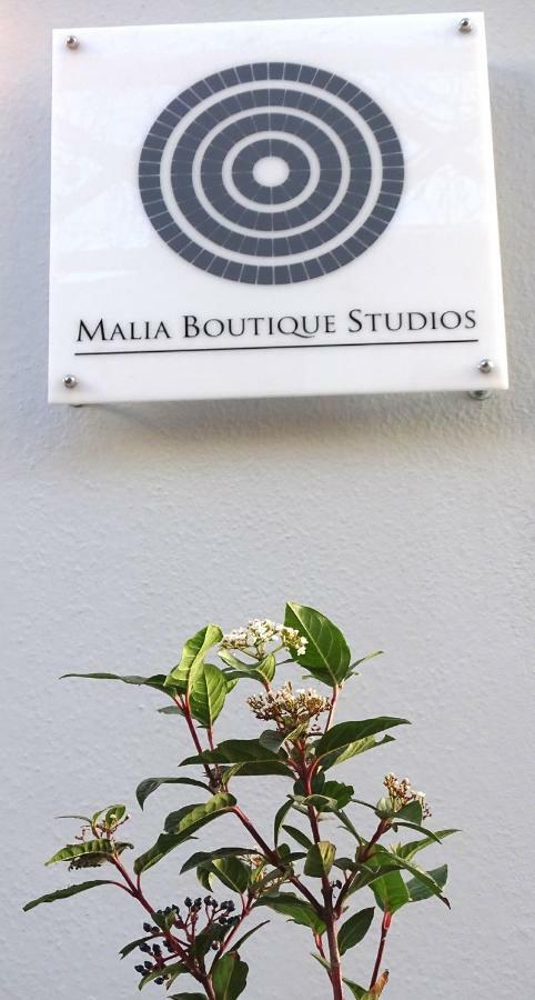Malia Boutique Studios Mália Exterior foto